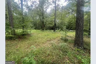 3693 Joyner Oglesby Road, Sardis, GA 30456 - Photo 16