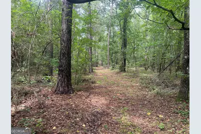 3693 Joyner Oglesby Road, Sardis, GA 30456 - Photo 22