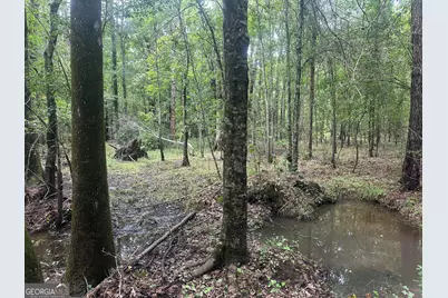 3693 Joyner Oglesby Road, Sardis, GA 30456 - Photo 20