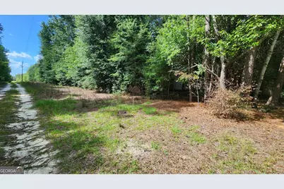 0 Martin Way, Waynesboro, GA 30830 - Photo 2