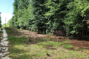 0 Martin Way, Waynesboro, GA 30830 - Photo 1