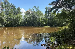 0 Garmon Rd, Hiram, GA 30141 - Photo 1