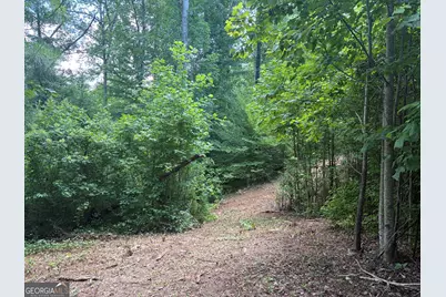 0 Garmon Road, Hiram, GA 30141 - Photo 4