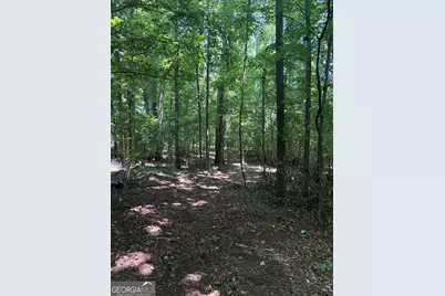 0 Garmon Road, Hiram, GA 30141 - Photo 6