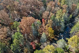 893 Hooper Rd, Cleveland, GA 30528 - Photo 58