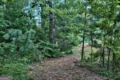 1190 Waterstone Drive, Madison, GA 30650 - Photo 6