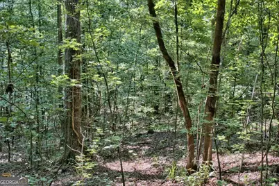 1190 Waterstone Drive, Madison, GA 30650 - Photo 8