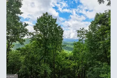1220 Walnut Ridge, Ellijay, GA 30536 - Photo 44