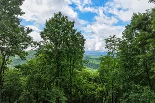 1220 Walnut Ridge, Ellijay, GA 30536 - Photo 44