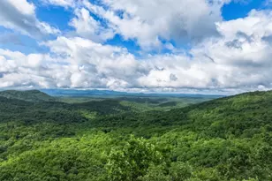 1220 Walnut Ridge, Ellijay, GA 30536 - Photo 6