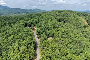 394 Sheep Stomp Rd, Blairsville, GA 30512 - Photo 48