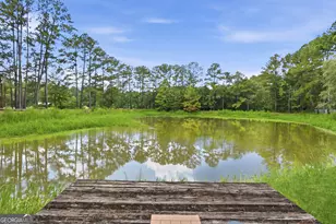 399 Creekside Cove, Statesboro, GA 30461 - Photo 40