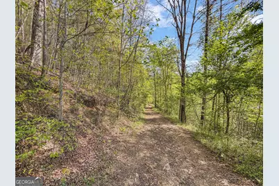 40 Ac #1 Valley Lake Road, Mineral Bluff, GA 30559 - Photo 34
