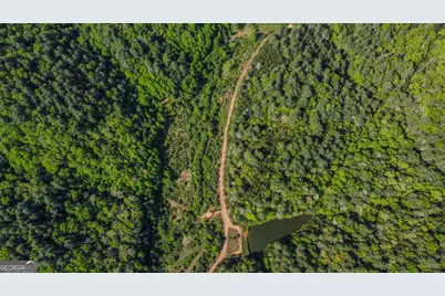 40 Ac #1 Valley Lake Road, Mineral Bluff, GA 30559 - Photo 16