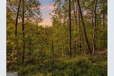 40 Ac #1 Valley Lake Road, Mineral Bluff, GA 30559 - Photo 10