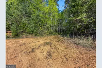 40 Ac #1 Valley Lake Road, Mineral Bluff, GA 30559 - Photo 30