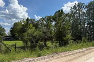 113 Horseshoe Loop, Saint George, GA 31562 - Photo 22