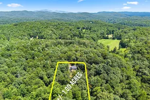 188 Marion Ln, Sautee Nacoochee, GA 30571 - Photo 46