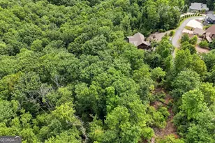 476 Deer Crest Rd, Blue Ridge, GA 30513 - Photo 6