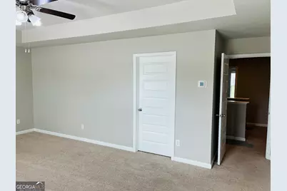 19 White Spruce Way, Newnan, GA 30265 - Photo 22