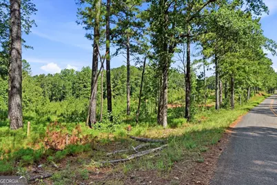 734 Giles Road, Forsyth, GA 31029 - Photo 18