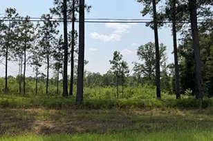 722 Giles Rd, Forsyth, GA 31029 - Photo 1