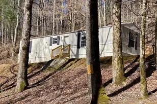 119 Cub Ln, Rabun Gap, GA 30568 - Photo 30