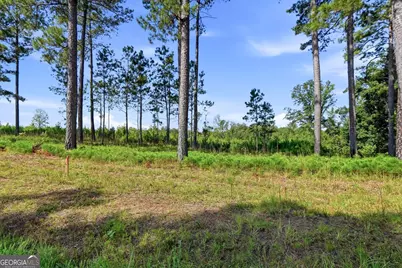 682 Giles Road, Forsyth, GA 31029 - Photo 20
