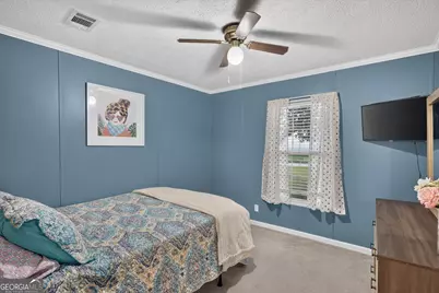 245 Alex Knight Road, Brooklet, GA 30415 - Photo 26