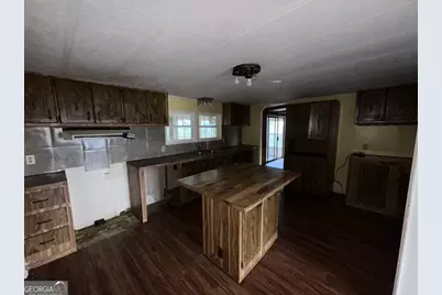 37154 Ga Highway 23, Cobbtown, GA 30420 - Photo 4