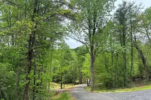 247 Loganberry Ln, Hayesville, NC 28904 - Photo 14