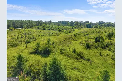 3605 Perkins Hiltonia Road, Millen, GA 30442 - Photo 14