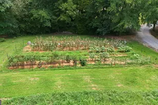 1115 Richard Bridges Rd, Commerce, GA 30530 - Photo 50