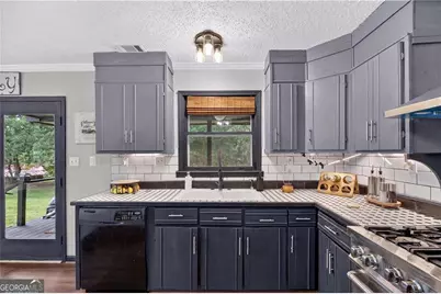 303 Mtn View Clubhouse Road, Buchanan, GA 30113 - Photo 20