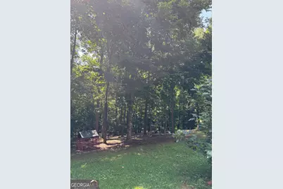 399 Grindstone Creek Drive, Clarkesville, GA 30523 - Photo 26