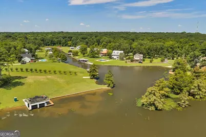 113 Rose Lane, Cobb, GA 31735 - Photo 76