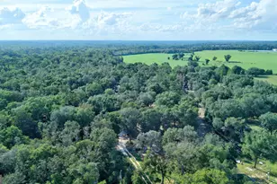 197 Blossom Ln, Reidsville, GA 30453 - Photo 32