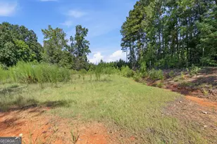 1100 Bodie Rayle Rd, Elberton, GA 30635 - Photo 44