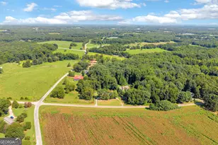 324 Old Canon Church Rd, Bowersville, GA 30516 - Photo 46