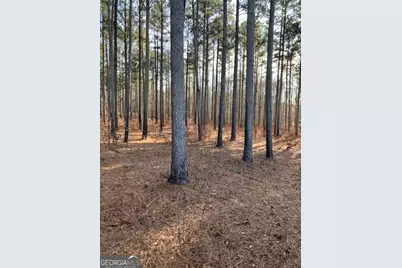 280 Woodville Philomath Rd, Rayle, GA 30660 - Photo 1