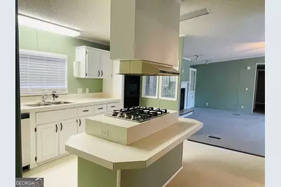 685 Holmes Theus Road NE, Ludowici, GA 31316 - Photo 6