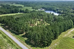 358 Hood Rd, Statesboro, GA 30458 - Photo 66