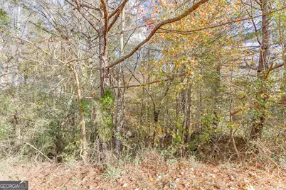 5137 Yellow Stone Drive, Flowery Branch, GA 30542 - Photo 4