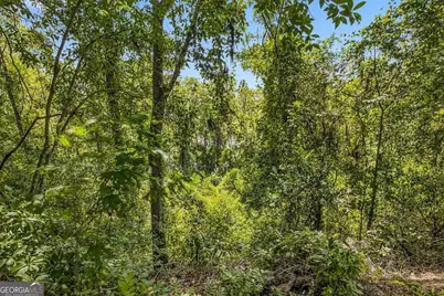 714 Altamaha Road, Jesup, GA 31545 - Photo 44