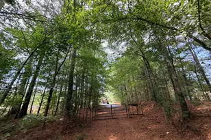 161 Mt Bethel Rd, Commerce, GA 30530 - Photo 174