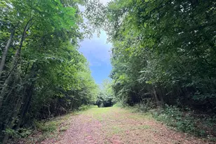 161 Mt Bethel Rd, Commerce, GA 30530 - Photo 188