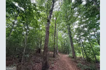 0 Mount Bethel Road, Commerce, GA 30530 - Photo 84