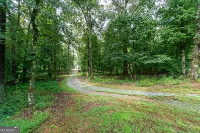 257 Iris Drive, Demorest, GA 30535 - Photo 40