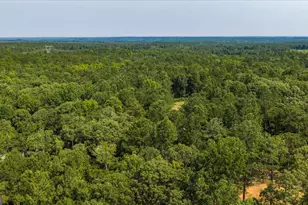 252 Rum Creek Pass, Juliette, GA 31046 - Photo 72