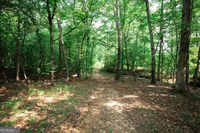 252 Rum Creek Pass, Juliette, GA 31046 - Photo 36